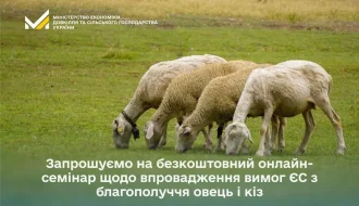 З 1 січня 2026 – нові вимоги ЄС до благополуччя тварин: як підготувати господарства овець і кіз?