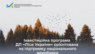 ДП «Ліси України» інвестує 4,1 млрд грн у 2026 році – як державна програма підтримає національного виробника?