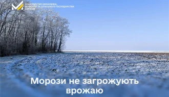 Озимі витримали пікові морози: чи будуть пересіви і що з цінами на овочі?