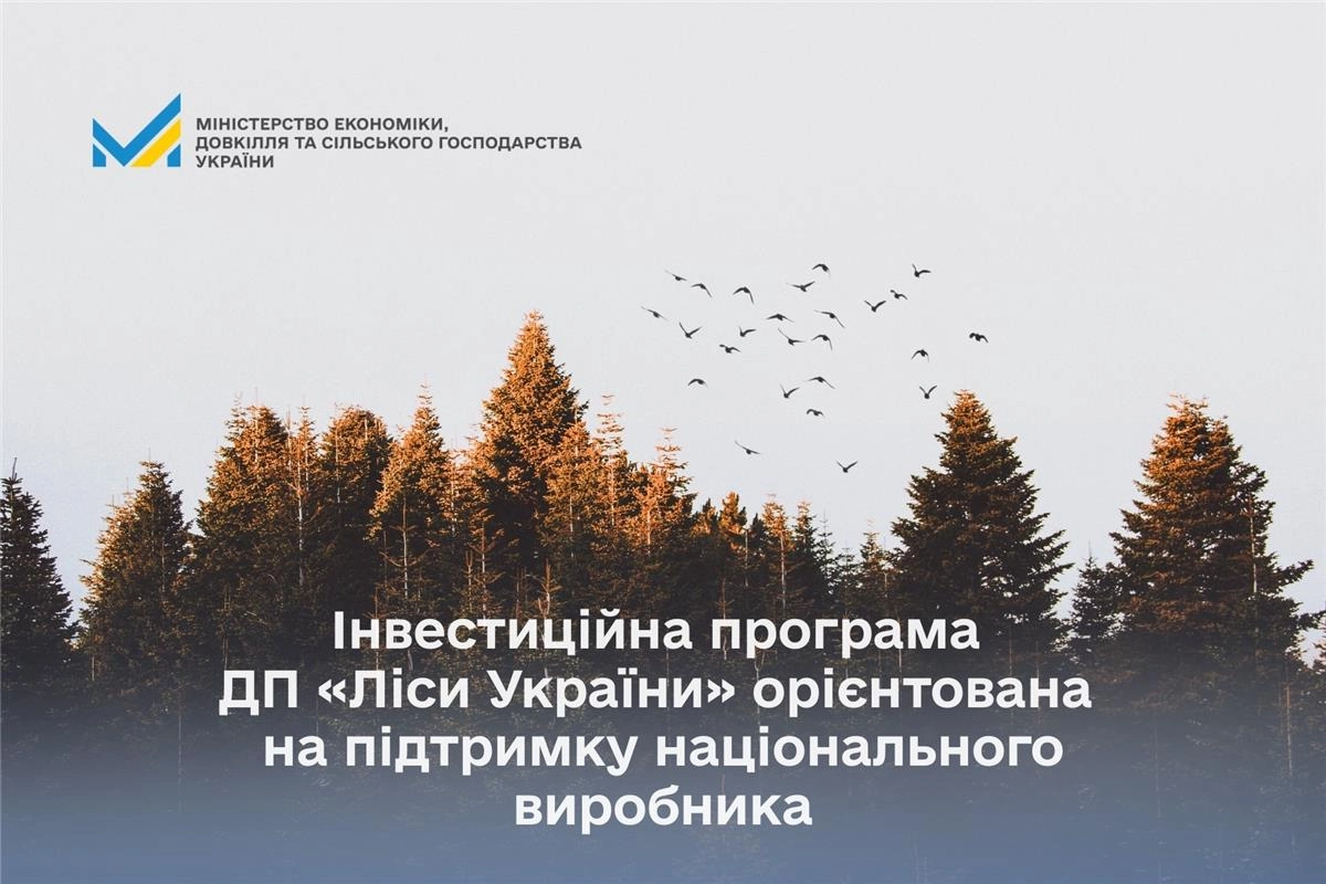 Інвестиційна програма ДП «Ліси України» підтримує національного виробника, фото лісу та птахів